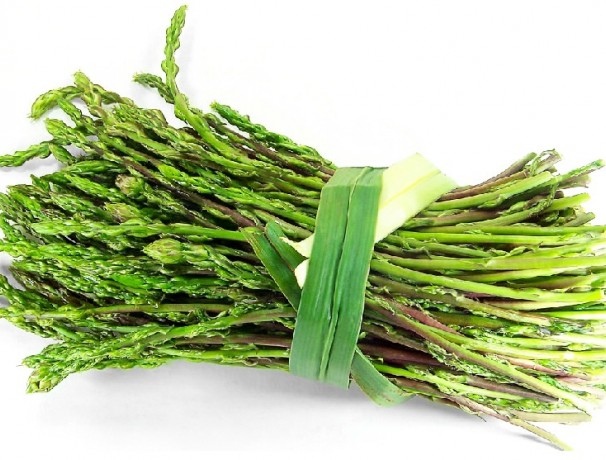 Connover's Colossal Asparagus 