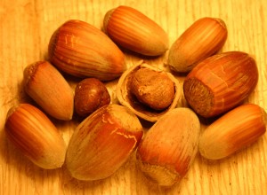 Precocious Hazelnut