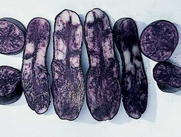 ECOS Purple Potato ECOS Purple Potato