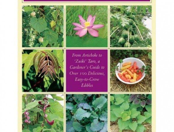 Perennial Vegetables