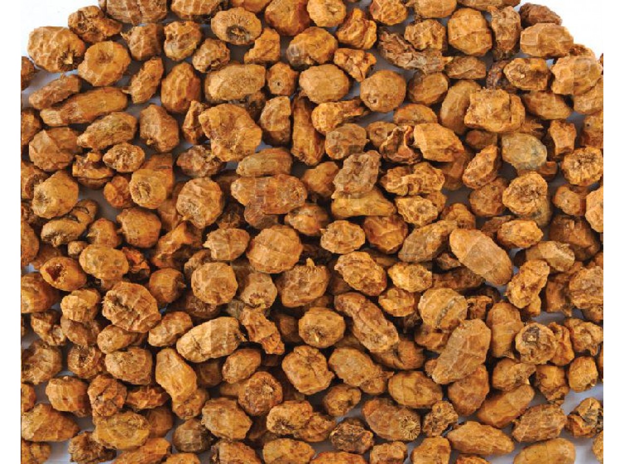 Tiger Almond - Chufa