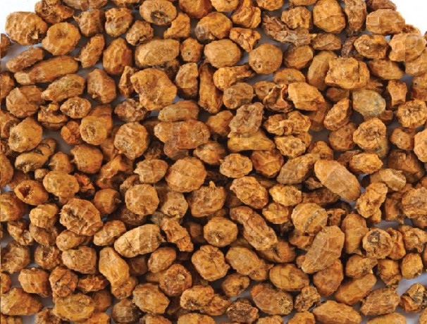 Tiger Almond - Chufa