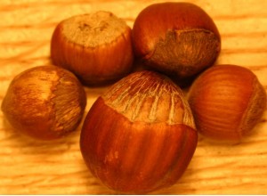 Ecos American Hazelnut