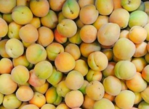 Heirloom Apricot