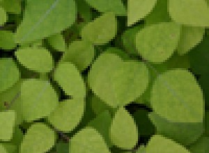 Crispy Snack Hog Peanut