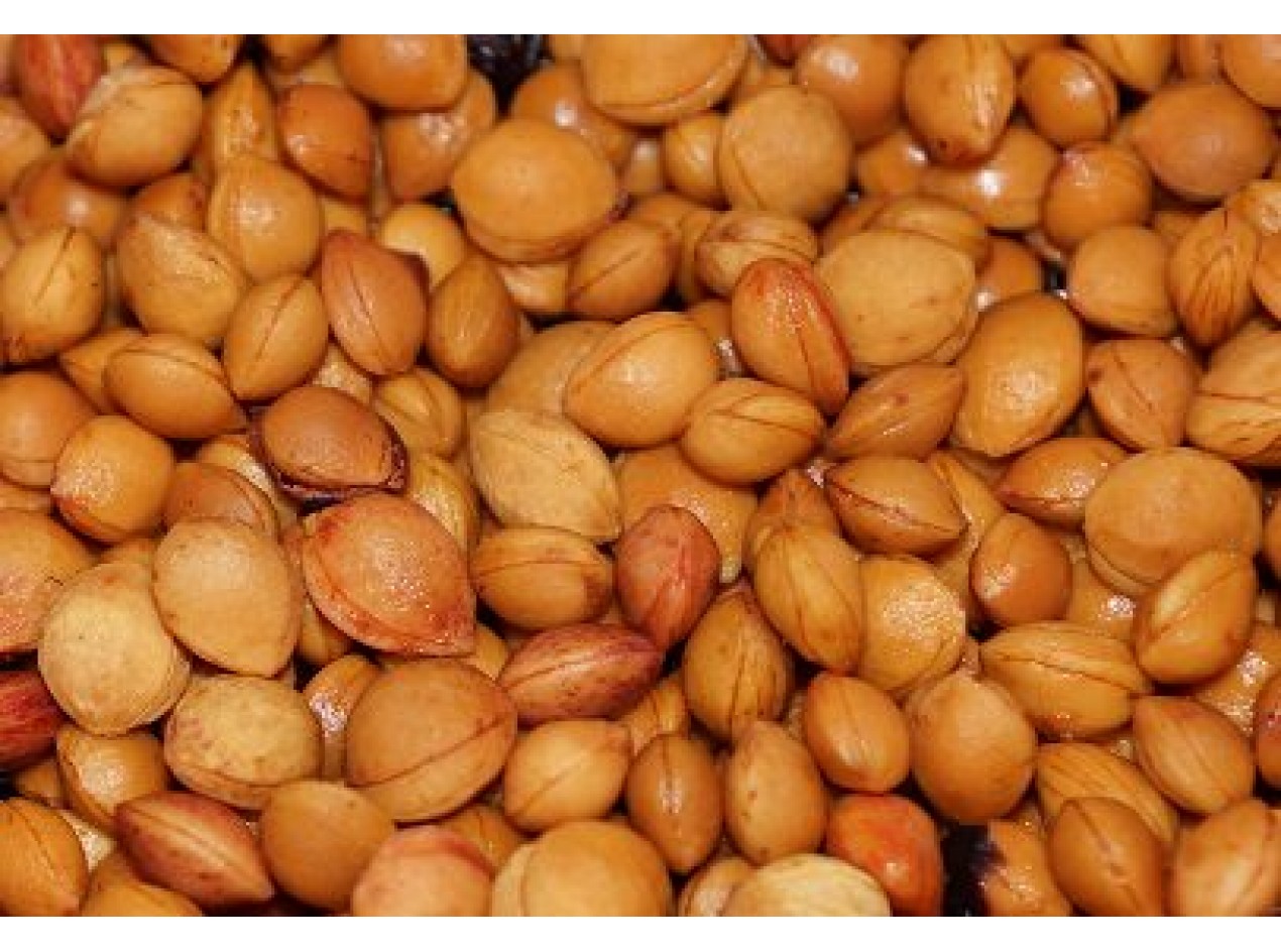 Nana Beach Plum Seeds