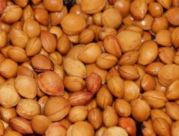 Nana Beach Plum Seeds