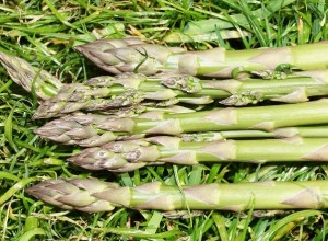 Very Wild Asparagus