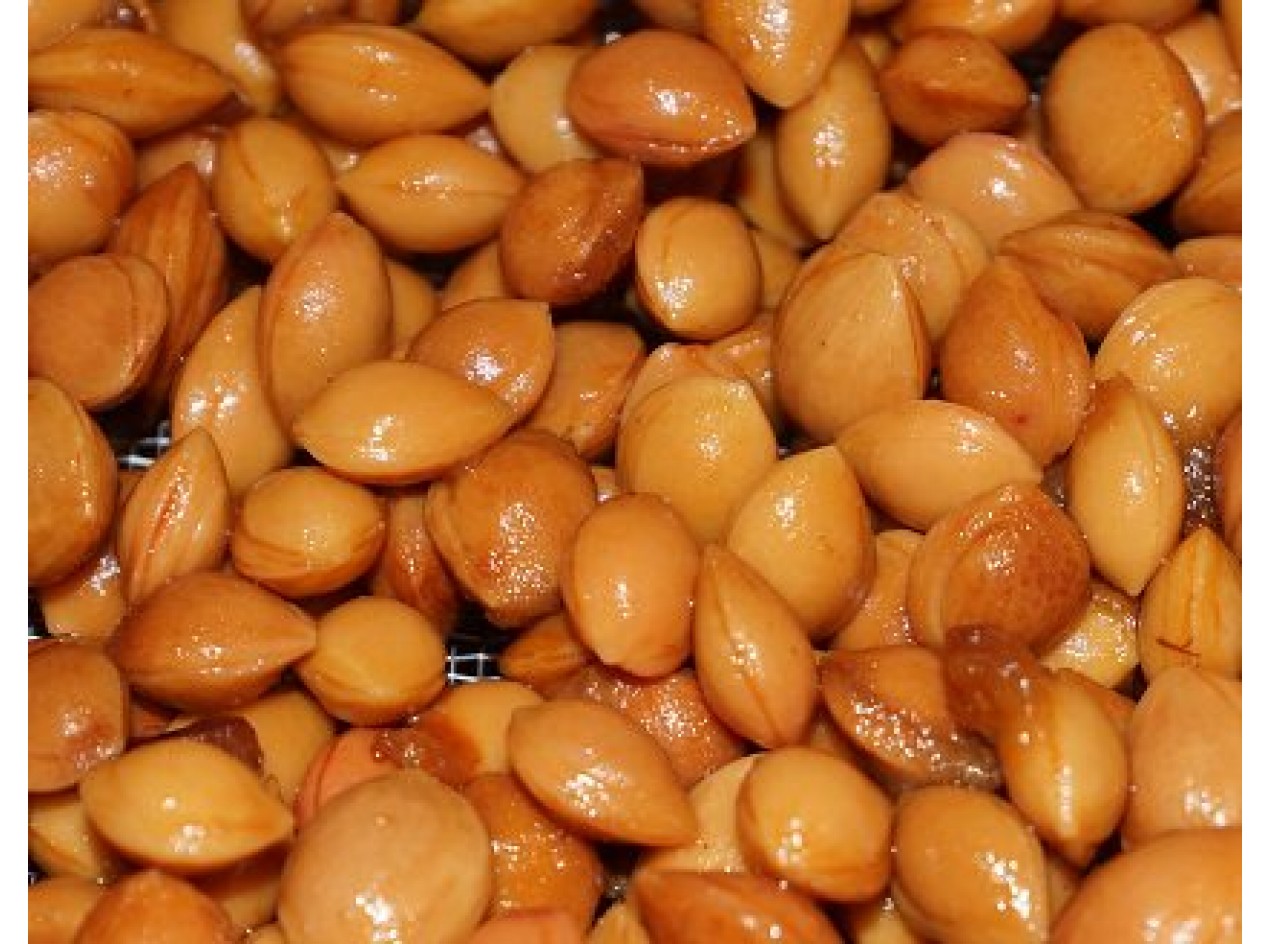 Wild Goose Plum Seeds