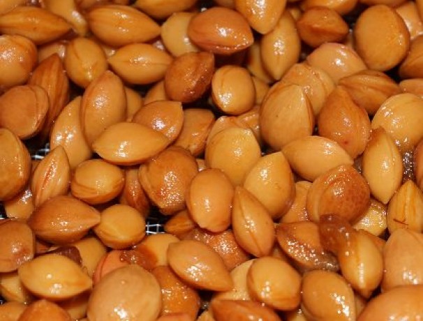 Wild Goose Plum Seeds