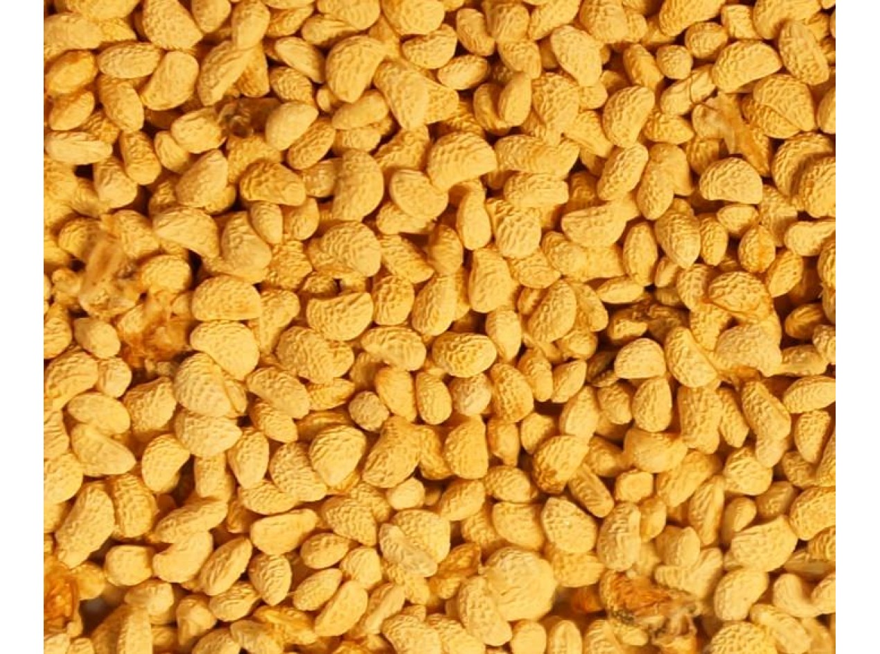 Yellow Black Raspberry Seeds