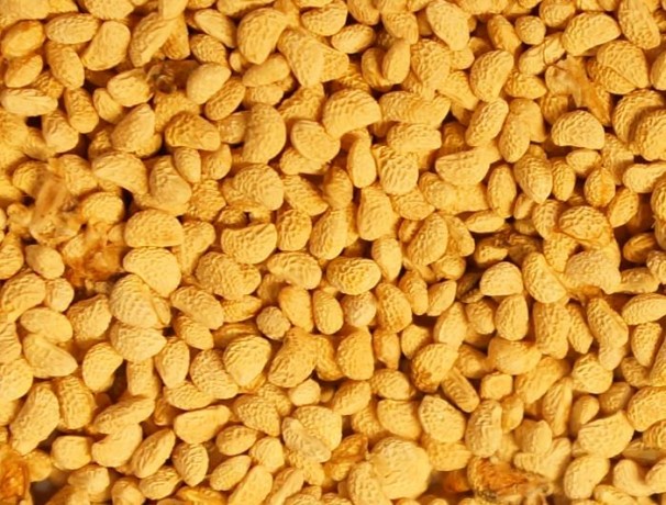 Yellow Black Raspberry Seeds