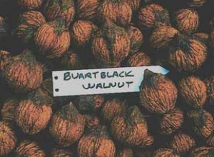 Buartblack Walnut Seeds