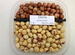 Dorris Hazelnut