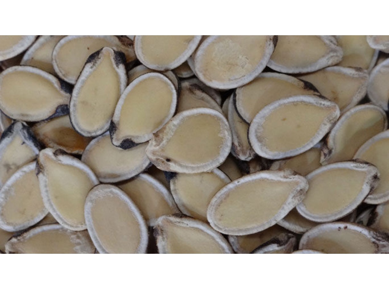 Egusi Papershell Edible Seeded Watermelon 