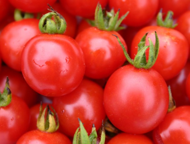 Kanaan Red Density Cherry Tomato