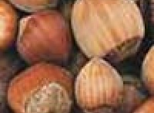 Ken's Select Hazelnut