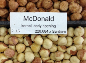 McDonald Hazelnut