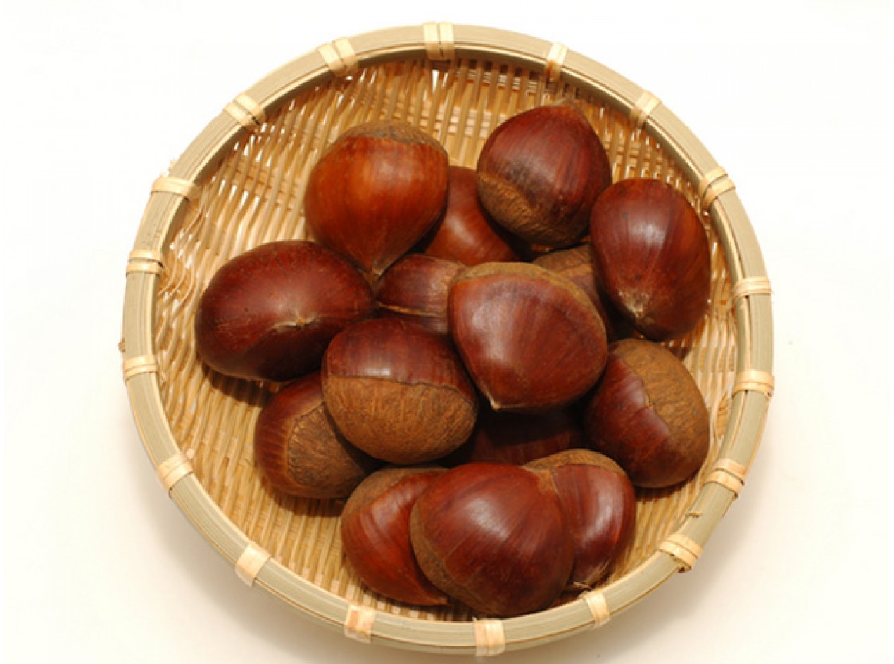 Japanese Chestnut