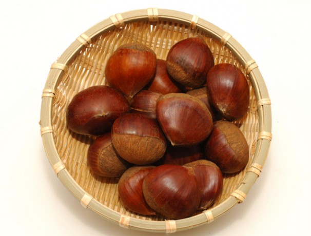 Japanese Chestnut